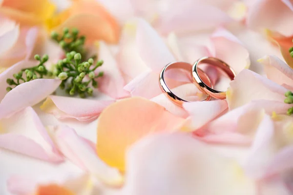 Trauringe auf Rosenblättern — Stockfoto