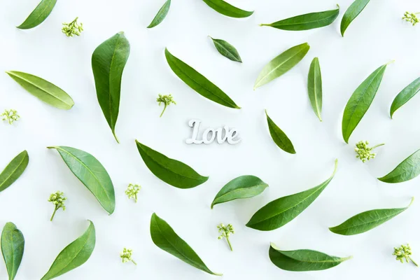 Folhas verdes e símbolo de amor — Fotografia de Stock