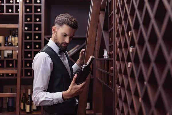 Sommelier dans la cave à vin — Photo de stock