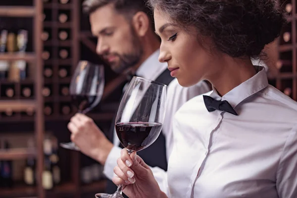 Sommeliers tasting wine in cellar — Stock Photo