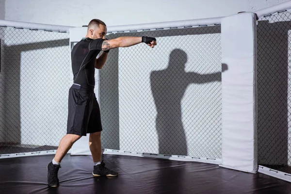 Young fighter training — Stock Photo