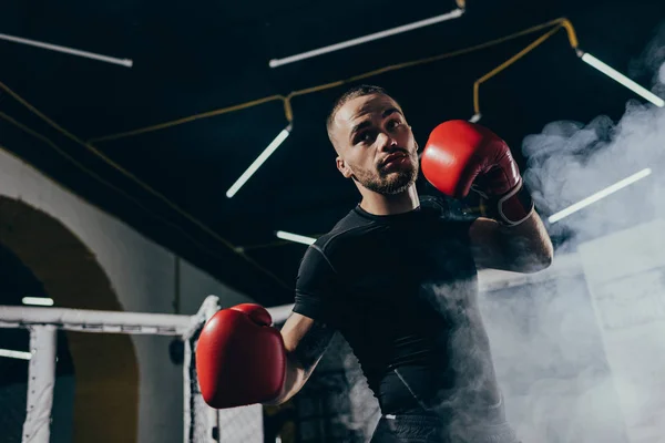 Muscular sportsman in boxing gloves — Stock Photo