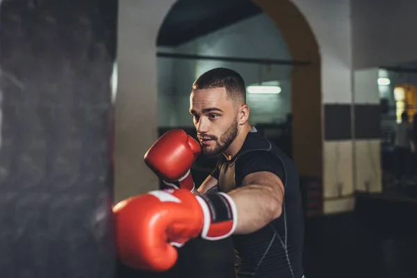 Boxer training with punching bag — Stock Photo