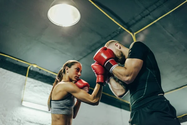 Boxers training on boxing ring — Stock Photo