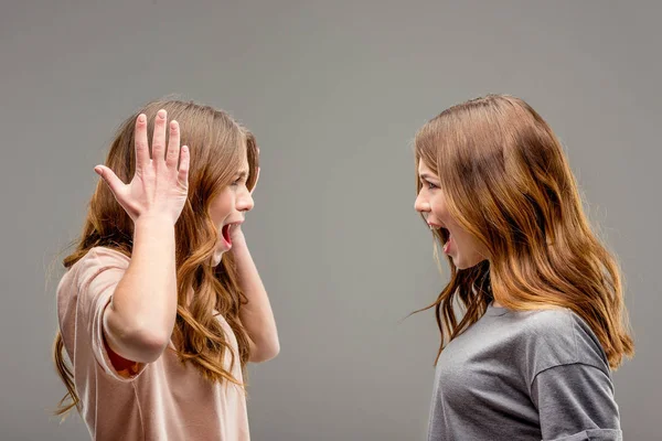 Vista lateral de irmãs gêmeas gritando umas com as outras isolado em cinza — Fotografia de Stock