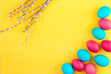 Renkli Paskalya yumurtaları ve renkli bir arka plan üzerinde söğüt