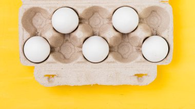 Renkli Paskalya yumurtaları ve renkli bir arka plan üzerinde söğüt