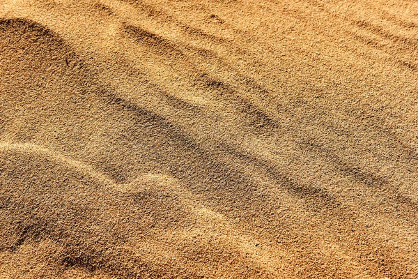 Sands Sahara Desert Sand Waves Barkhans — Stock Photo, Image