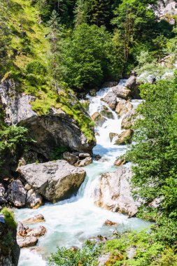 Güneşli bir günde ormandaki şelale.