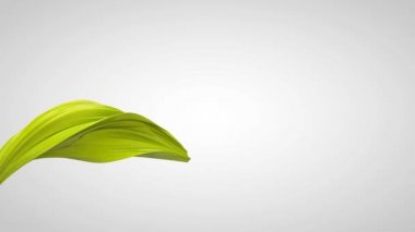 Girdap, arka plan animasyon