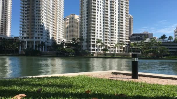 Вид на Майами, ключевой район Брикелл — стоковое видео