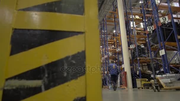 Man Carrying Loader With Goods at Warehouse. Wholesale, Logistic, Shipment And People Concept — Stock Video