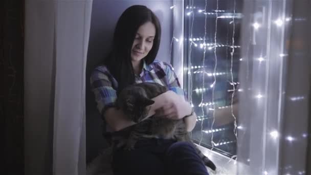Çelenk ile dekore pencere üzerinde oturan bir kedi okşayarak güzel çekici kadın — Stok video