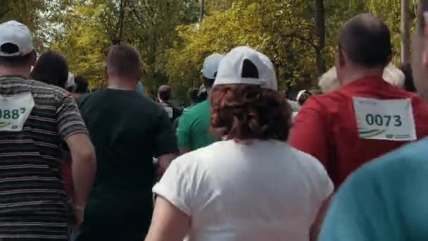 Nizhny novgorod, Russischer Verband - Mai 2015: Marathon, Straßenläufer im Frühling. Benefizlauf, viele Menschen laufen im Park — Stockvideo
