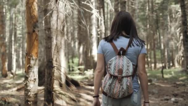 Porträt einer glücklichen Frau im Wald, Mädchen genießen Holz, Touristin mit Rucksack im Nationalpark, Lebensstil auf Reisen — Stockvideo