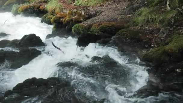 Kleiner Wasserfall, der die Felsen hinunterfließt, Gebirgsfluss, der zwischen den Felsen im Wald tobt, kaukasische Berge, Europa. — Stockvideo