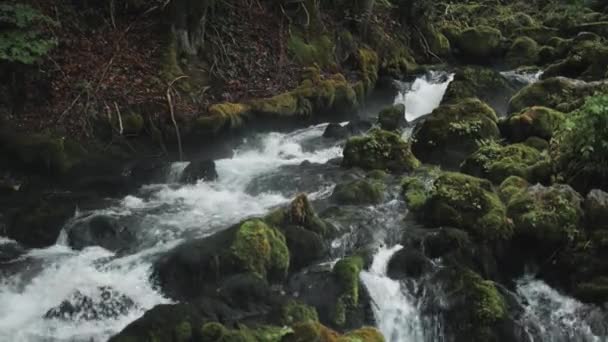 Kleiner Wasserfall, der die Felsen hinunterfließt, Gebirgsfluss, der zwischen den Felsen im Wald tobt, kaukasische Berge, Europa. — Stockvideo