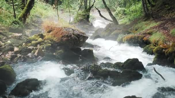 Malý vodopád teče dolů The Rocks, horské řeky zuří mezi The Rocks In The Forest, kavkazských hor, Evropa. — Stock video
