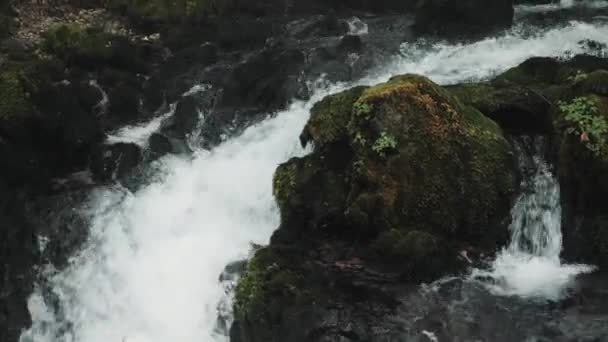 Air Terjun Kecil Mengalir Bawah Batu, Sungai Gunung Memanjat Di Antara Batuan Di Hutan, Pegunungan Kaukasia, Eropa . — Stok Video