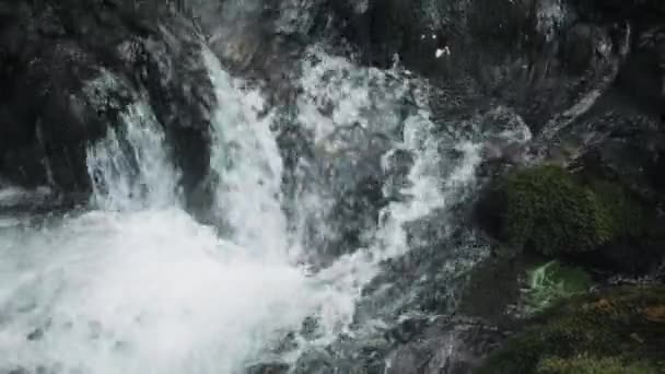 Pequena cachoeira que desce as rochas, rio da montanha que se agita entre as rochas na floresta, montanhas caucasianas, Europa . — Vídeo de Stock