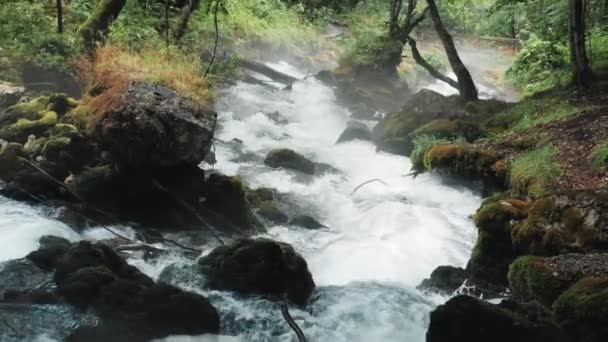 Malý vodopád teče dolů The Rocks, horské řeky zuří mezi The Rocks In The Forest, kavkazských hor, Evropa. — Stock video