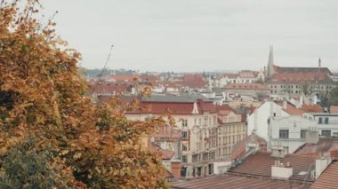 Üstten Görünüm kırmızı kiremit çatılar Prag şehir Çek Cumhuriyeti için. Tipik Prag evleri.