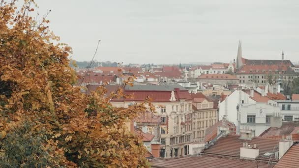 Blick von oben auf die roten Ziegeldächer der Stadt Prag. Typische Prager Häuser. — Stockvideo