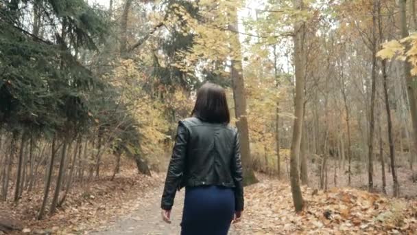 Joven hermosa mujer caminando en el parque de otoño. Chica caminando en el bosque en otoño, concepto de estilo de vida — Vídeo de stock