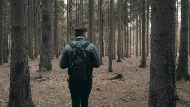 Молодий бородатий чоловік ходить в осінньому лісі з туристичним рюкзаком, осіннім стилем, стилем подорожі — стокове відео