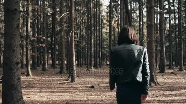 Sonbahar parkta yürüyen genç güzel kadın. Kız ormanda yürüyüş sonbaharda, yaşam kavramı — Stok video