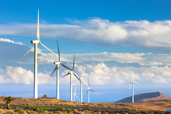 Wind turbines against the blue sky in eolic farm , electric wind — Stock Photo, Image