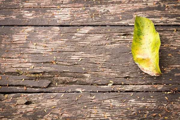 Yeşil yaprak ahşap doku üzerinde