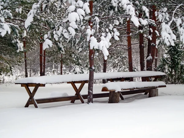 Bord och bänk i snön — Stockfoto