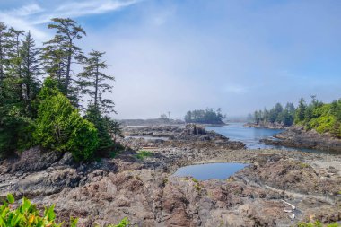 Wild Pacific Trail (Ucluelet Deniz feneri döngüsü), British Columbia