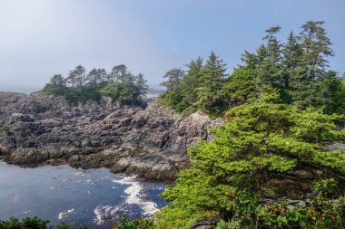 Wild Pacific Trail (Ucluelet Deniz feneri döngüsü), British Columbia