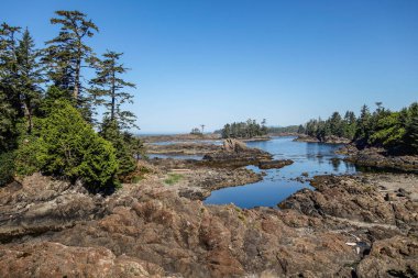Wild Pacific Trail (Ucluelet Deniz feneri döngüsü), British Columbia
