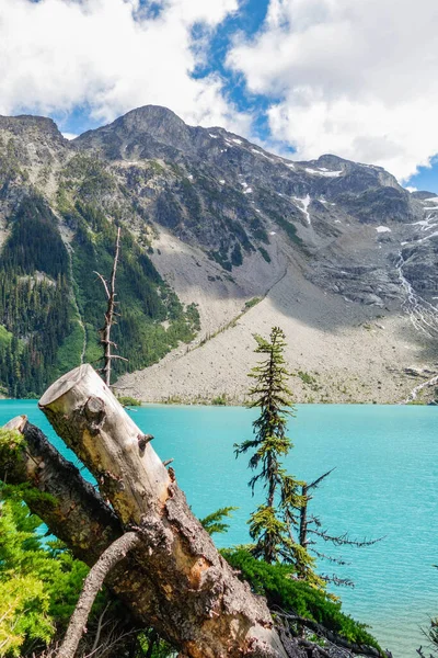 Joffre Lakes Provincial Park Kanada — Stockfoto