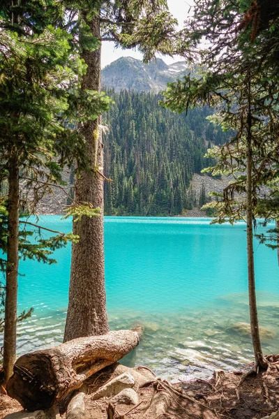 Joffre Lakes Provincial Park Canada — Stock Photo, Image