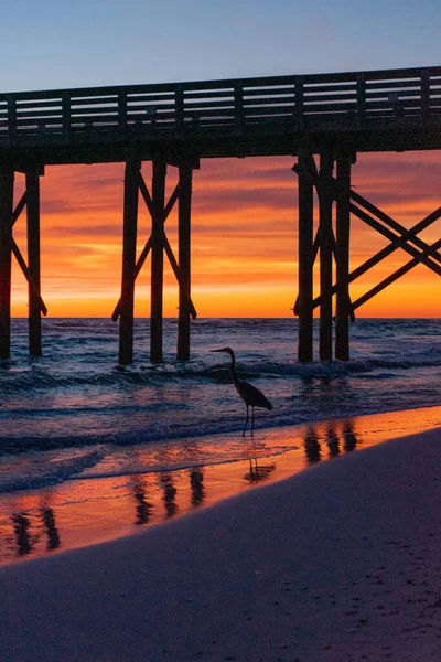 Solnedgång Över Fiskepiren Och Mexikanska Golfen Panama City Beach Florida — Stockfoto