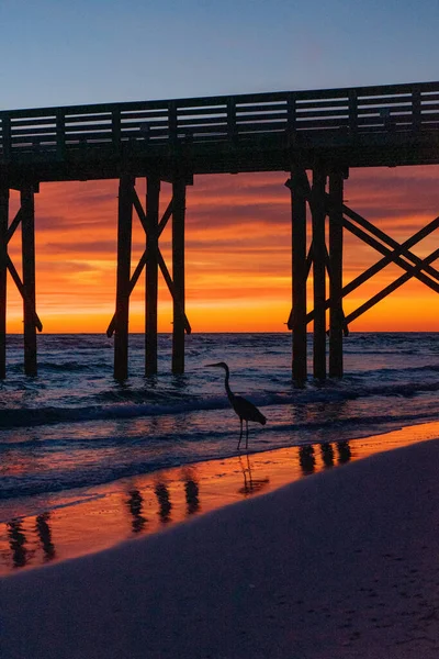 Solnedgång Över Fiskepiren Och Mexikanska Golfen Panama City Beach Florida — Stockfoto