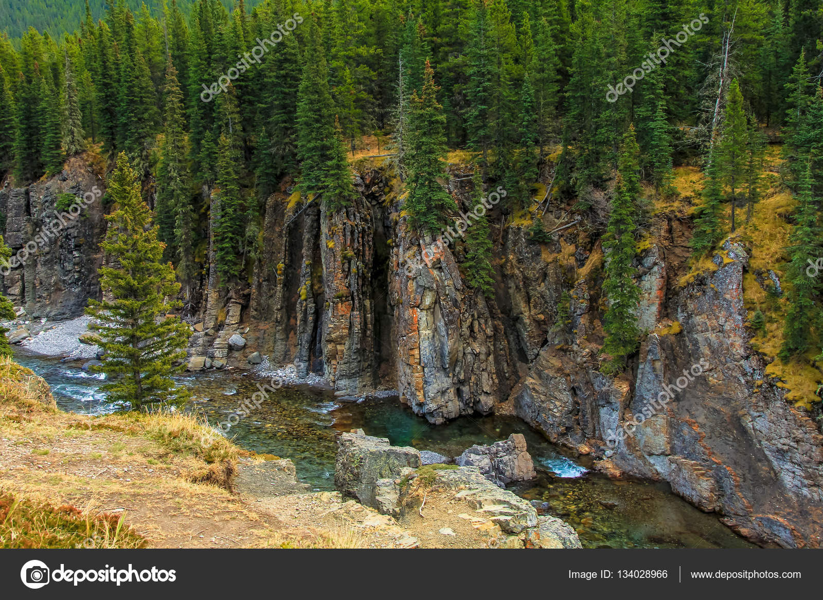 Ship River Provincial Park, Alberta, Canada Stock Photo by ©russ