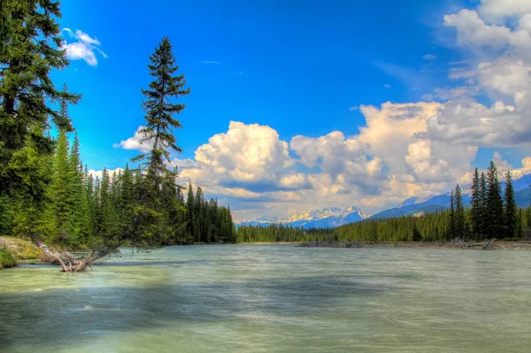 Folyó Kootenay, Bc, Kanada — Stock Fotó