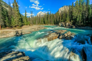 Emerald Gölü, Yoho Milli Parkı, Bc, Kanada