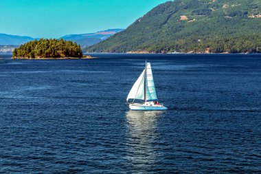 Vancouver Adası, Bc, Kanada