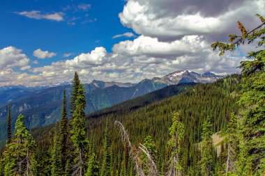 Mount Revelstoke, Bc, Kanada