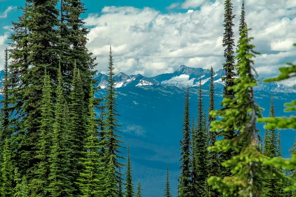 Mount Revelstoke, Bc, Kanada — Stock fotografie