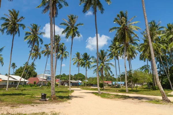 Küçük yol içinde belgili tanımlık palmiye ağaçları resort, Samui, Tayland