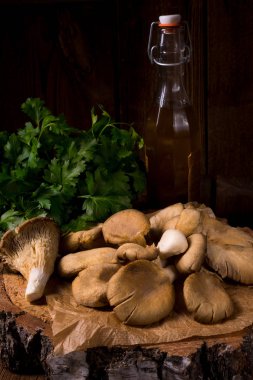 Organik kavak mantar şişe ile ahşap dilim petrol ve Salantro üzerinde