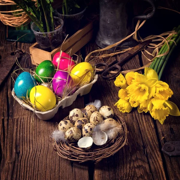 Πασχαλινά Αυγά Και Daffodils — Φωτογραφία Αρχείου