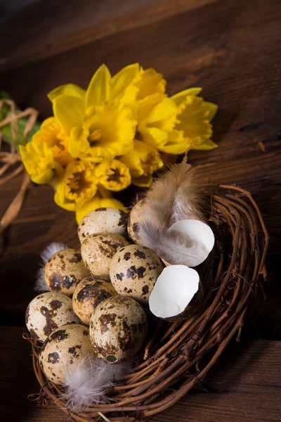Πασχαλινά Αυγά Και Daffodils — Φωτογραφία Αρχείου